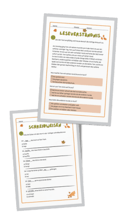 Vorschau der LRS-Test Lösungsblätter